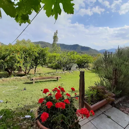 S'Imbragu Farm B&B-3